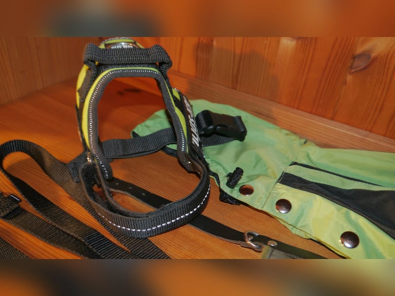 5tlg Hundegeschirr Julius K9 Gr. S Neongrün + Hundeleine + Halsband Leder + Hunderegenmant - C