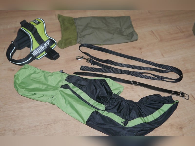 5tlg Hundegeschirr Julius K9 Gr. S Neongrün + Hundeleine + Halsband Leder + Hunderegenmant - C