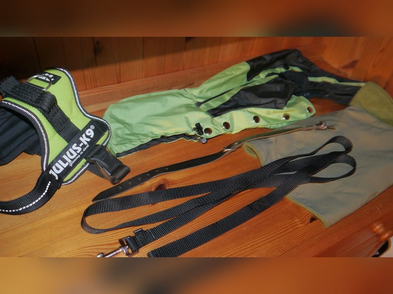 5tlg Hundegeschirr Julius K9 Gr. S Neongrün + Hundeleine + Halsband Leder + Hunderegenmant - C