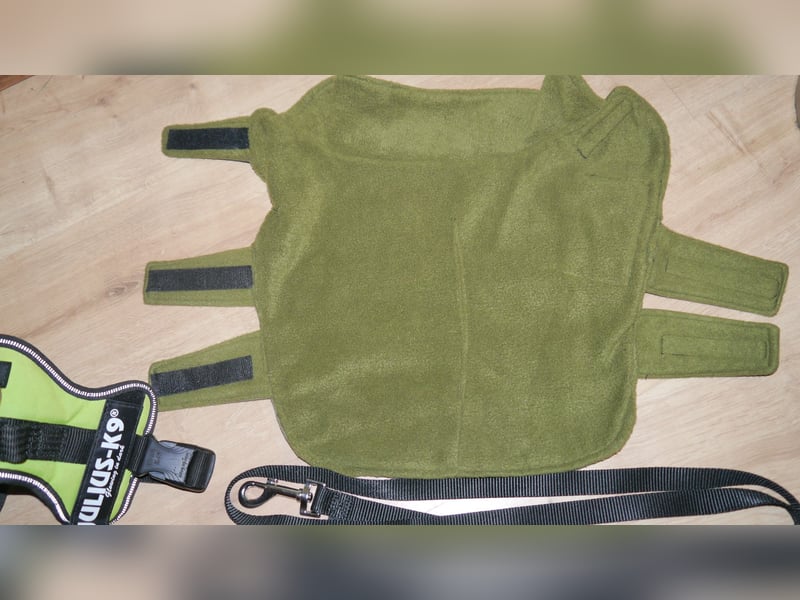 5tlg Hundegeschirr Julius K9 Gr. S Neongrün + Hundeleine + Halsband Leder + Hunderegenmant - C