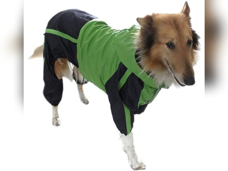 5tlg Hundegeschirr Julius K9 Gr. S Neongrün + Hundeleine + Halsband Leder + Hunderegenmant - C
