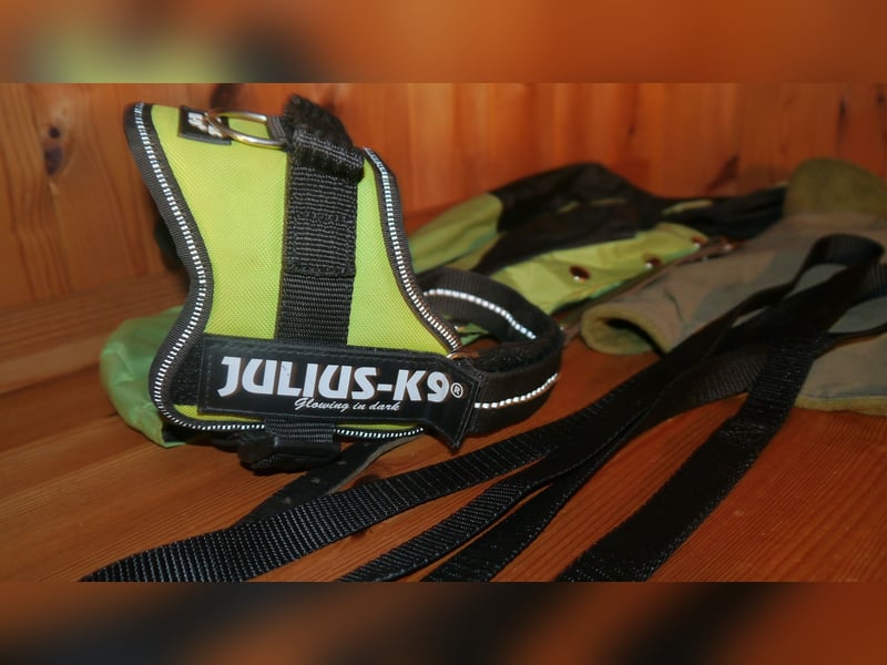 5tlg Hundegeschirr Julius K9 Gr. S Neongrün + Hundeleine + Halsband Leder + Hunderegenmant - C