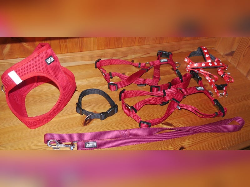 6tlg  AniOne H-Geschirr Classic Gr. M/L + Hundehalsband + Hundeleine – Z