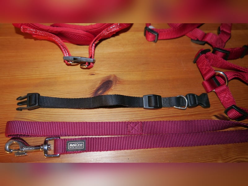 6tlg  AniOne H-Geschirr Classic Gr. M/L + Hundehalsband + Hundeleine – Z