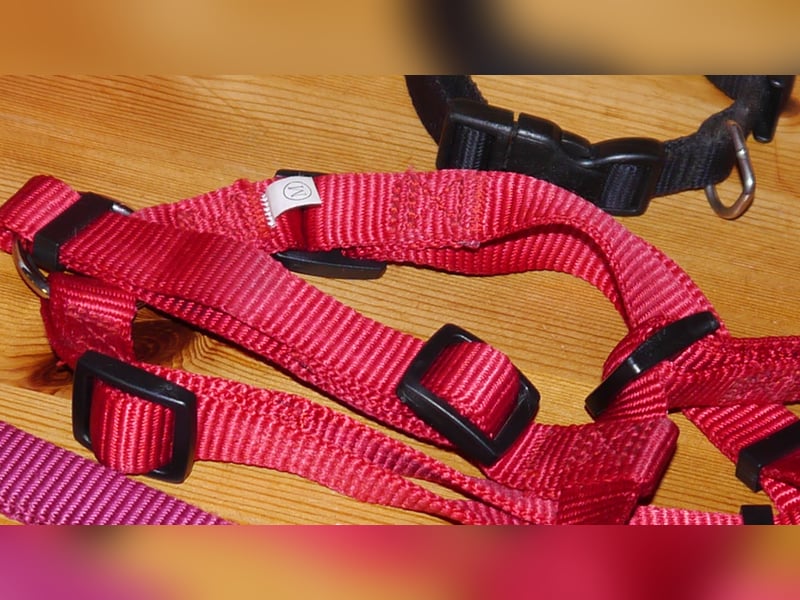6tlg  AniOne H-Geschirr Classic Gr. M/L + Hundehalsband + Hundeleine – Z