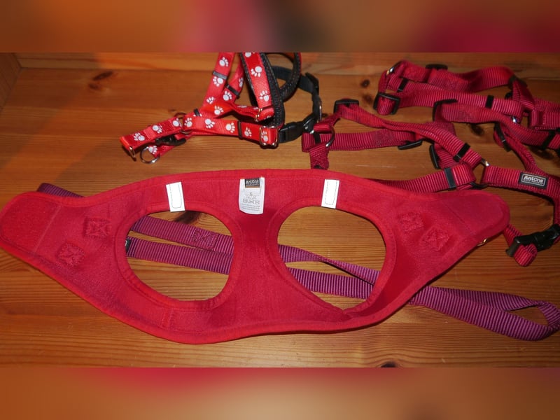 6tlg  AniOne H-Geschirr Classic Gr. M/L + Hundehalsband + Hundeleine – Z