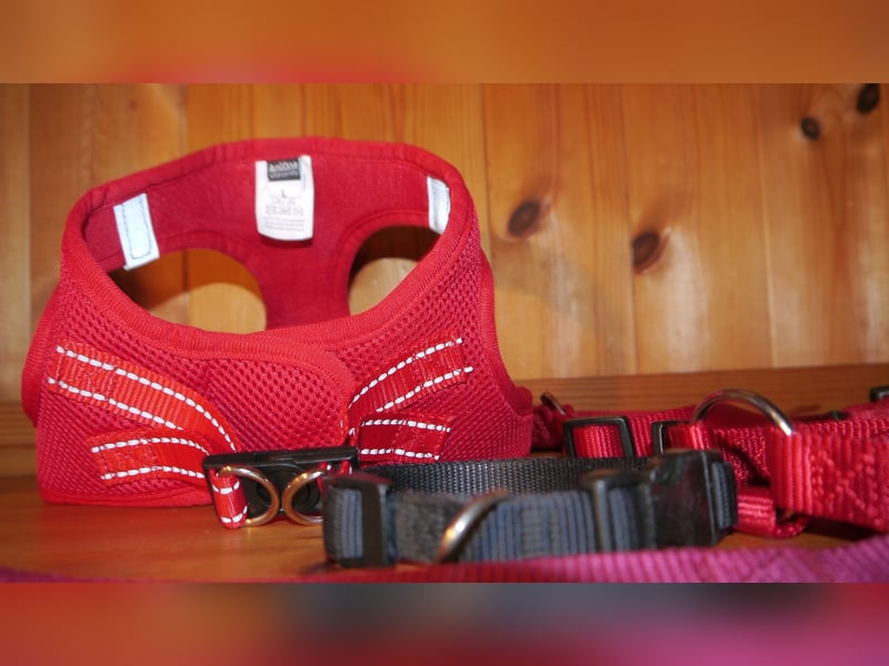 6tlg  AniOne H-Geschirr Classic Gr. M/L + Hundehalsband + Hundeleine – Z