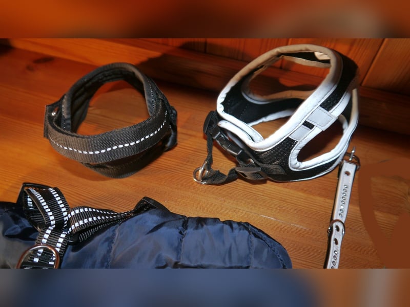 6tlg Hundebett + Julius K9 Geschirr Gr. 2XS Baby2 + Leine + Halsband + Hundemantel - N