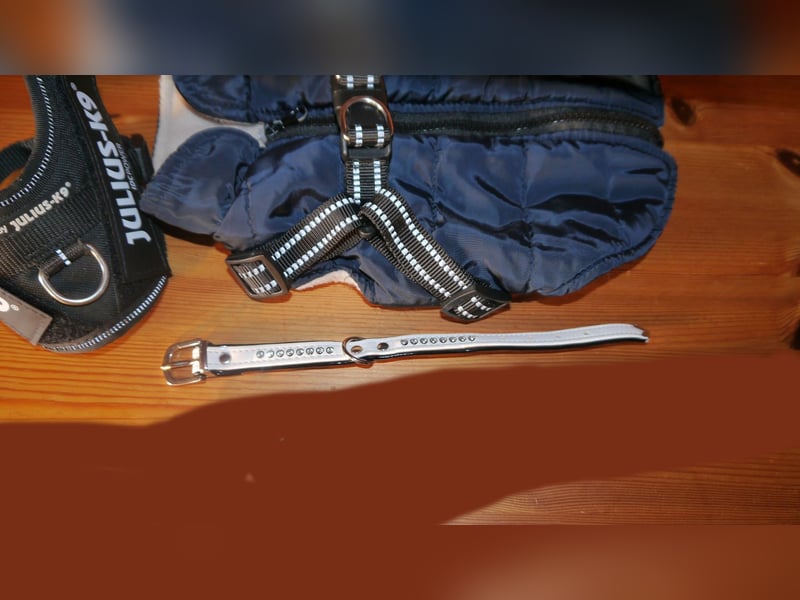 6tlg Hundebett + Julius K9 Geschirr Gr. 2XS Baby2 + Leine + Halsband + Hundemantel - N