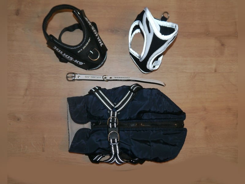 6tlg Hundebett + Julius K9 Geschirr Gr. 2XS Baby2 + Leine + Halsband + Hundemantel - N