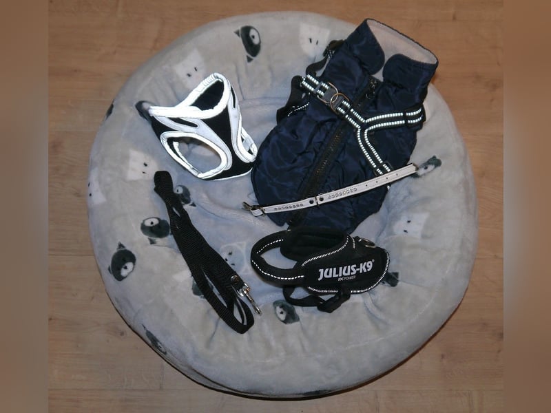 6tlg Hundebett + Julius K9 Geschirr Gr. 2XS Baby2 + Leine + Halsband + Hundemantel - N