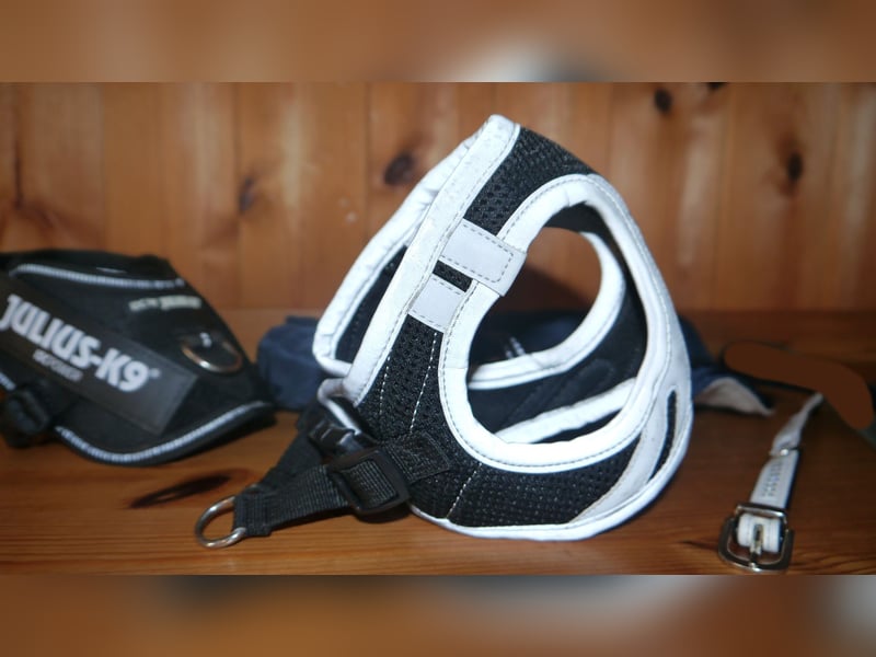 6tlg Hundebett + Julius K9 Geschirr Gr. 2XS Baby2 + Leine + Halsband + Hundemantel - N