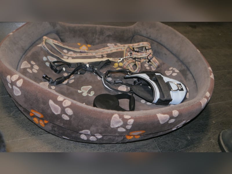 7tlg. Hundebett + Hundegeschirr Julius K9 Gr. 0 + Roll-Leine +  Maulkorb + Hundehalsband Trixie – F