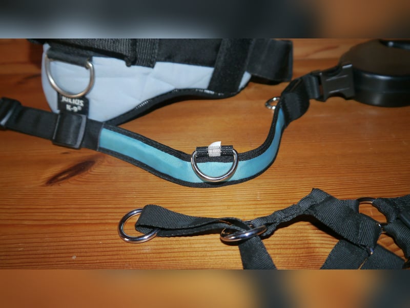7tlg. Hundebett + Hundegeschirr Julius K9 Gr. 0 + Roll-Leine +  Maulkorb + Hundehalsband Trixie – F