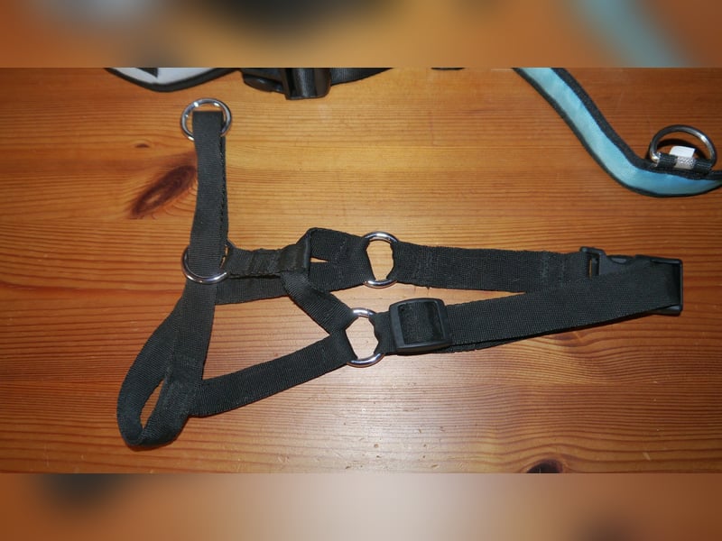7tlg. Hundebett + Hundegeschirr Julius K9 Gr. 0 + Roll-Leine +  Maulkorb + Hundehalsband Trixie – F