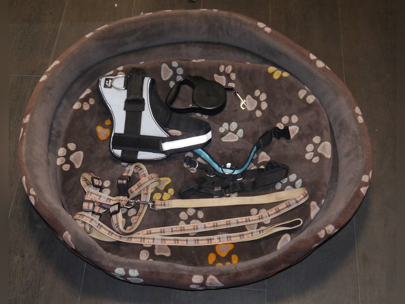 7tlg. Hundebett + Hundegeschirr Julius K9 Gr. 0 + Roll-Leine +  Maulkorb + Hundehalsband Trixie – F