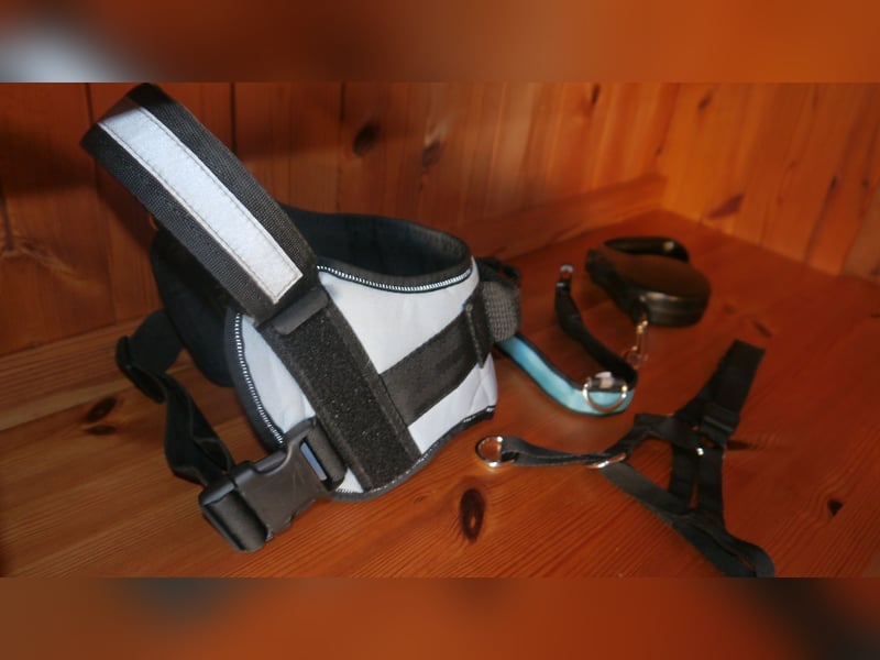 7tlg. Hundebett + Hundegeschirr Julius K9 Gr. 0 + Roll-Leine +  Maulkorb + Hundehalsband Trixie – F