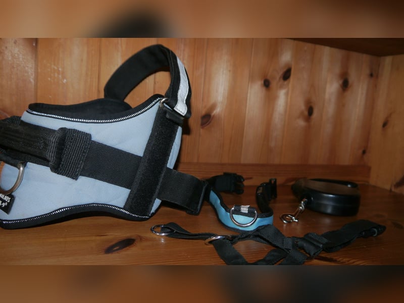 7tlg. Hundebett + Hundegeschirr Julius K9 Gr. 0 + Roll-Leine +  Maulkorb + Hundehalsband Trixie – F
