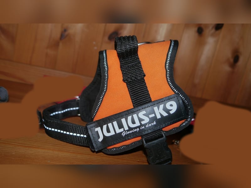 7tlg Hundegeschirr Julius K9 Gr. XS + Weste + Fellpflegewerkzeug + Maulkorb + Leine + Halsband - B