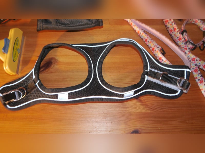 7tlg Hundegeschirr Julius K9 Gr. XS + Weste + Fellpflegewerkzeug + Maulkorb + Leine + Halsband - B