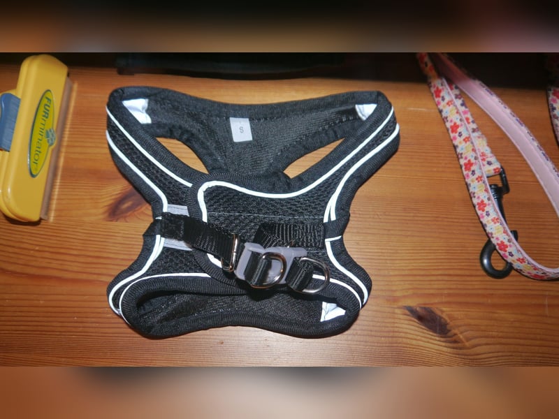 7tlg Hundegeschirr Julius K9 Gr. XS + Weste + Fellpflegewerkzeug + Maulkorb + Leine + Halsband - B