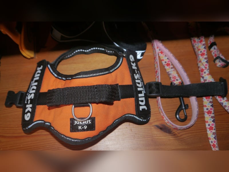7tlg Hundegeschirr Julius K9 Gr. XS + Weste + Fellpflegewerkzeug + Maulkorb + Leine + Halsband - B