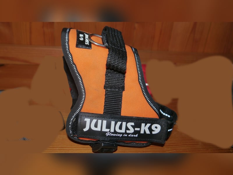 7tlg Hundegeschirr Julius K9 Gr. XS + Weste + Fellpflegewerkzeug + Maulkorb + Leine + Halsband - B