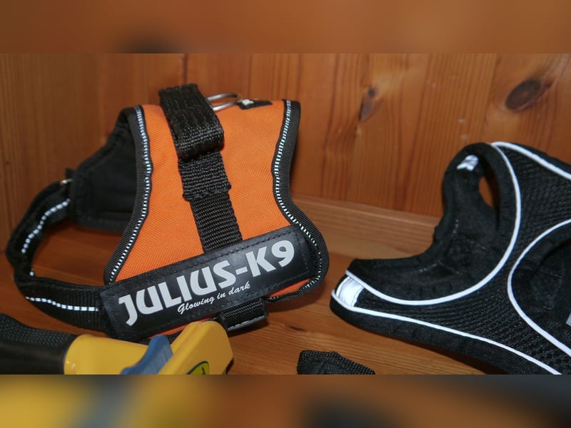 7tlg Hundegeschirr Julius K9 Gr. XS + Weste + Fellpflegewerkzeug + Maulkorb + Leine + Halsband - B