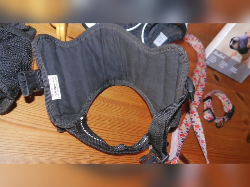 7tlg Hundegeschirr Julius K9 Gr. XS + Weste + Fellpflegewerkzeug + Maulkorb + Leine + Halsband - B