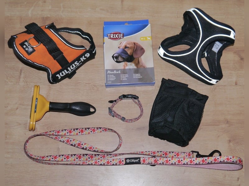 7tlg Hundegeschirr Julius K9 Gr. XS + Weste + Fellpflegewerkzeug + Maulkorb + Leine + Halsband - B