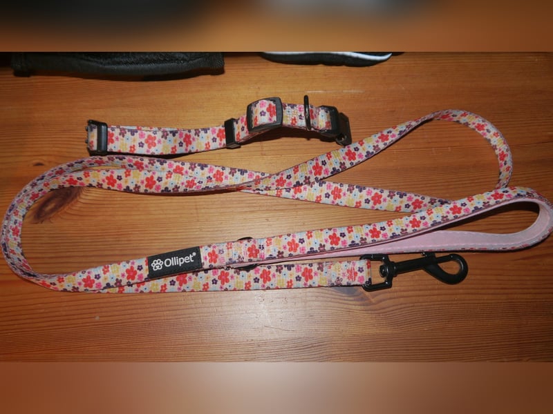 7tlg Hundegeschirr Julius K9 Gr. XS + Weste + Fellpflegewerkzeug + Maulkorb + Leine + Halsband - B