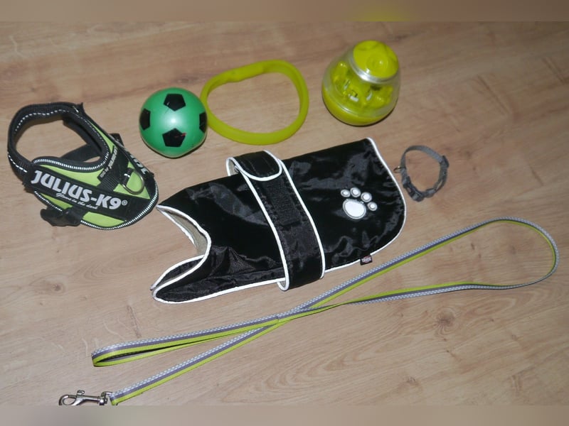 7tlg Julius K9 Geschirr Gr. 2XS Baby2 Neon + Leine +Halsband + Hundemantel + Futterspielzeug – M