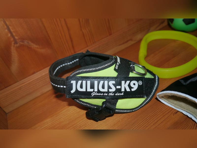 7tlg Julius K9 Geschirr Gr. 2XS Baby2 Neon + Leine +Halsband + Hundemantel + Futterspielzeug – M
