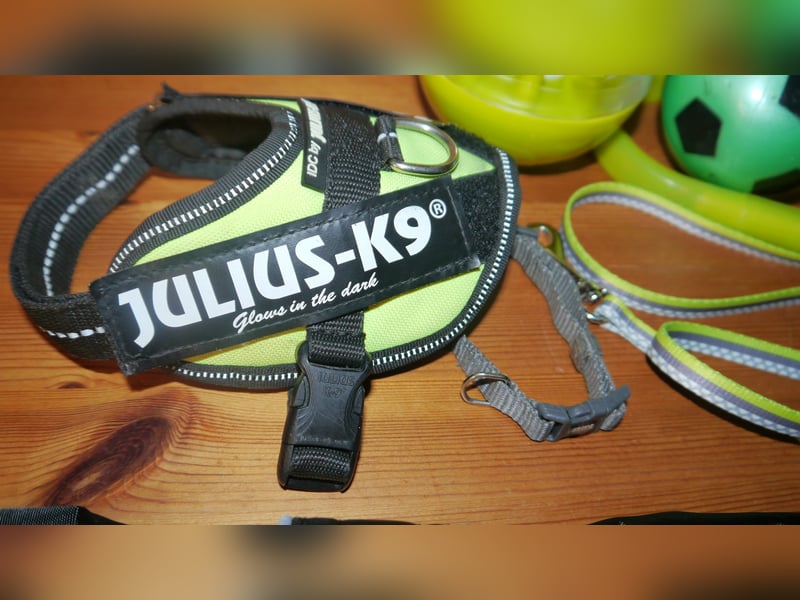 7tlg Julius K9 Geschirr Gr. 2XS Baby2 Neon + Leine +Halsband + Hundemantel + Futterspielzeug – M