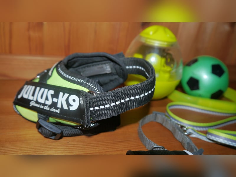 7tlg Julius K9 Geschirr Gr. 2XS Baby2 Neon + Leine +Halsband + Hundemantel + Futterspielzeug – M