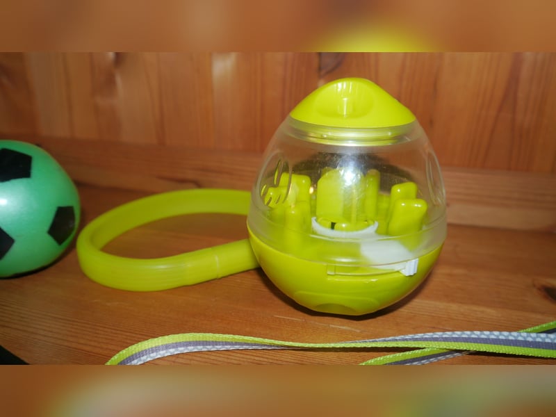 7tlg Julius K9 Geschirr Gr. 2XS Baby2 Neon + Leine +Halsband + Hundemantel + Futterspielzeug – M