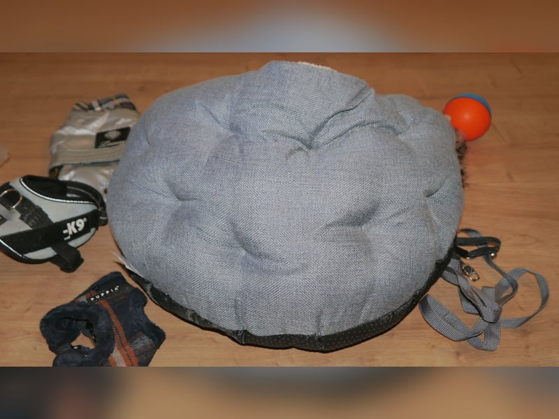 7tlg Katzen/Hundebett + Brustgeschirr + Julius K9 Gr. XS + Hundemantel + Spiel  Wieselball - X