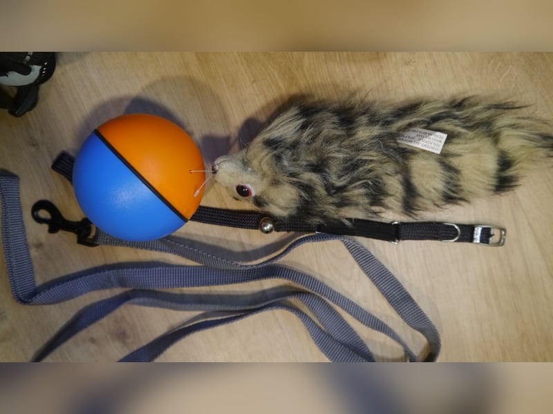 7tlg Katzen/Hundebett + Brustgeschirr + Julius K9 Gr. XS + Hundemantel + Spiel  Wieselball - X