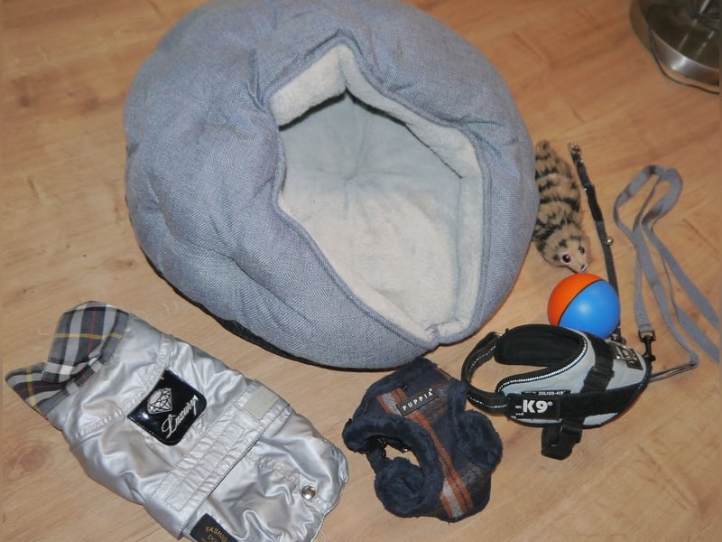 7tlg Katzen/Hundebett + Brustgeschirr + Julius K9 Gr. XS + Hundemantel + Spiel  Wieselball - X