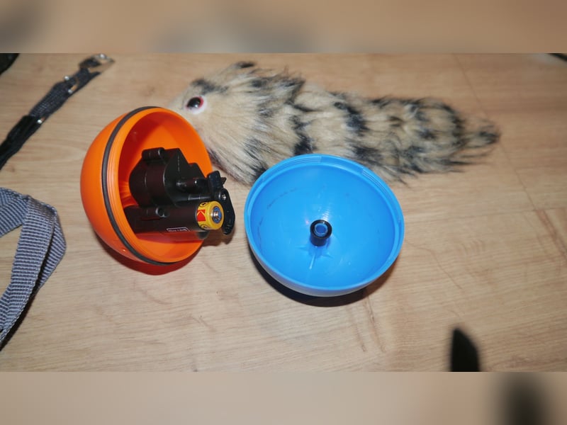 7tlg Katzen/Hundebett + Brustgeschirr + Julius K9 Gr. XS + Hundemantel + Spiel  Wieselball - X