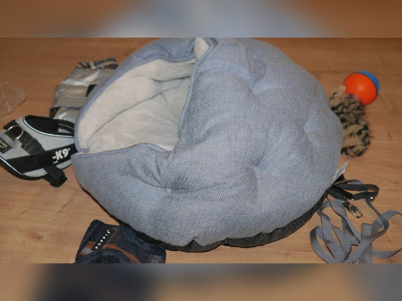 7tlg Katzen/Hundebett + Brustgeschirr + Julius K9 Gr. XS + Hundemantel + Spiel  Wieselball - X