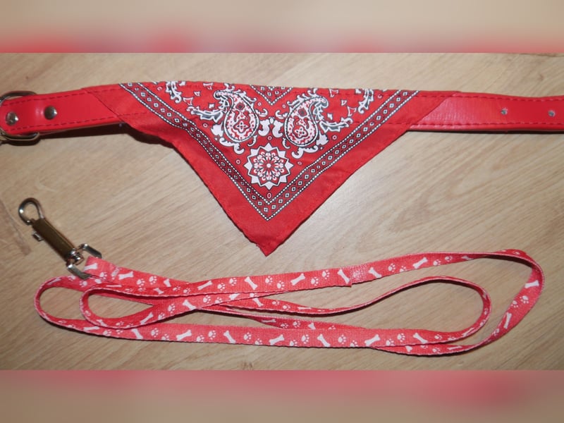 9tlg Hundegeschirr Julius K9 Gr. XS + Leine+ Wassernapf Outdoor+ Hunderegenmantel+ Haarentferner-D