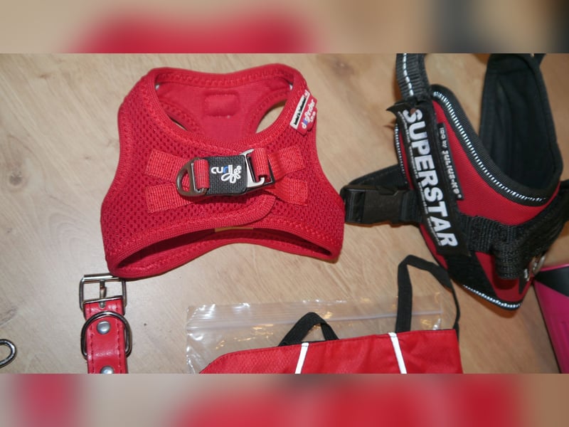 9tlg Hundegeschirr Julius K9 Gr. XS + Leine+ Wassernapf Outdoor+ Hunderegenmantel+ Haarentferner-D