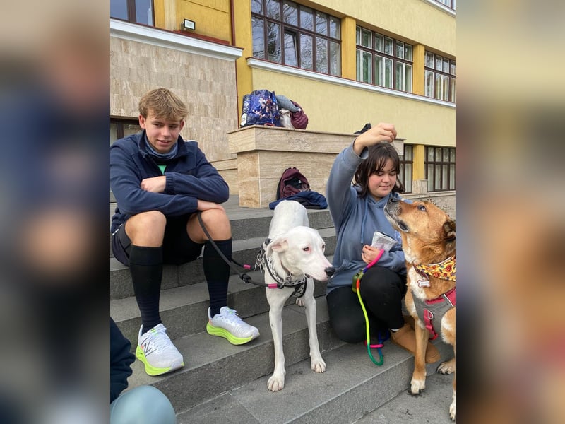 Schüchterner Lucas sucht einfühlsame Familie