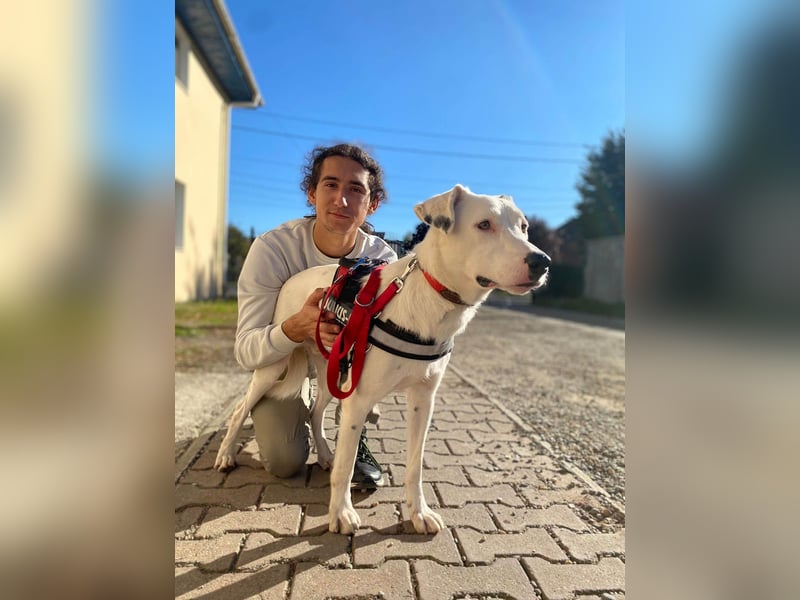 Schüchterner Lucas sucht einfühlsame Familie