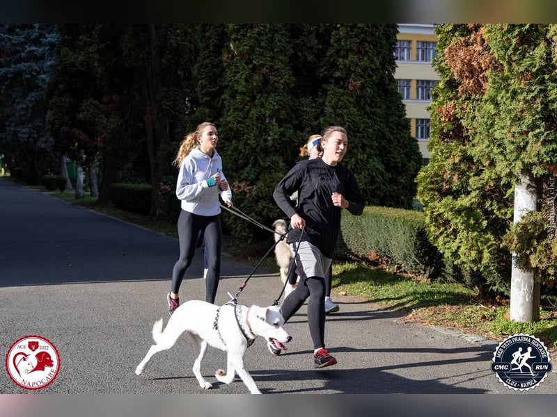 Schüchterner Lucas sucht einfühlsame Familie