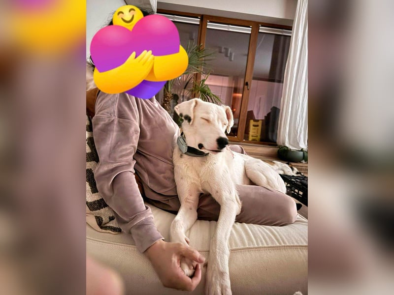 Schüchterner Lucas sucht einfühlsame Familie