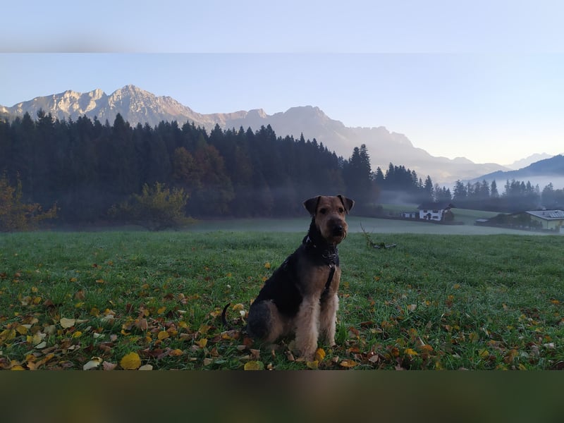 Lenya ist trächtig