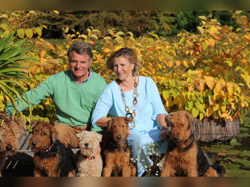 Noch 2 Welpen zu verkaufen