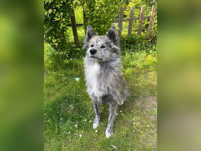 Yuma - ist unkompliziert